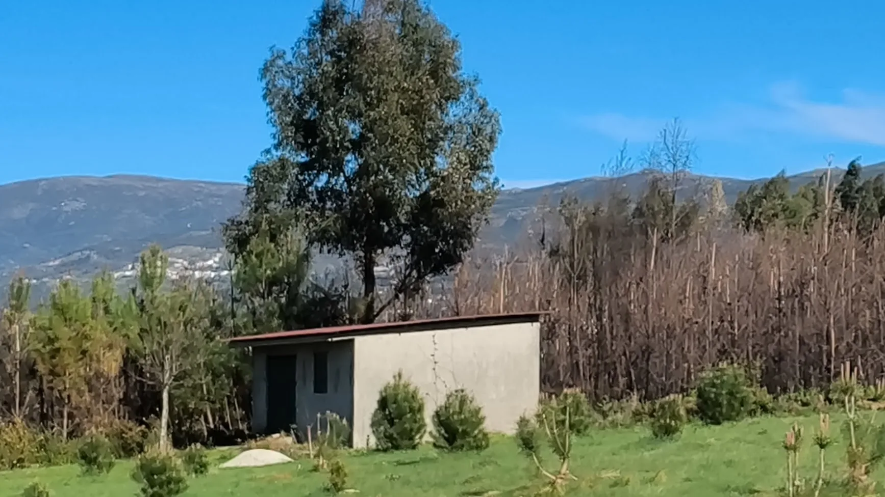 Bungalow Serra da Estrela - 43