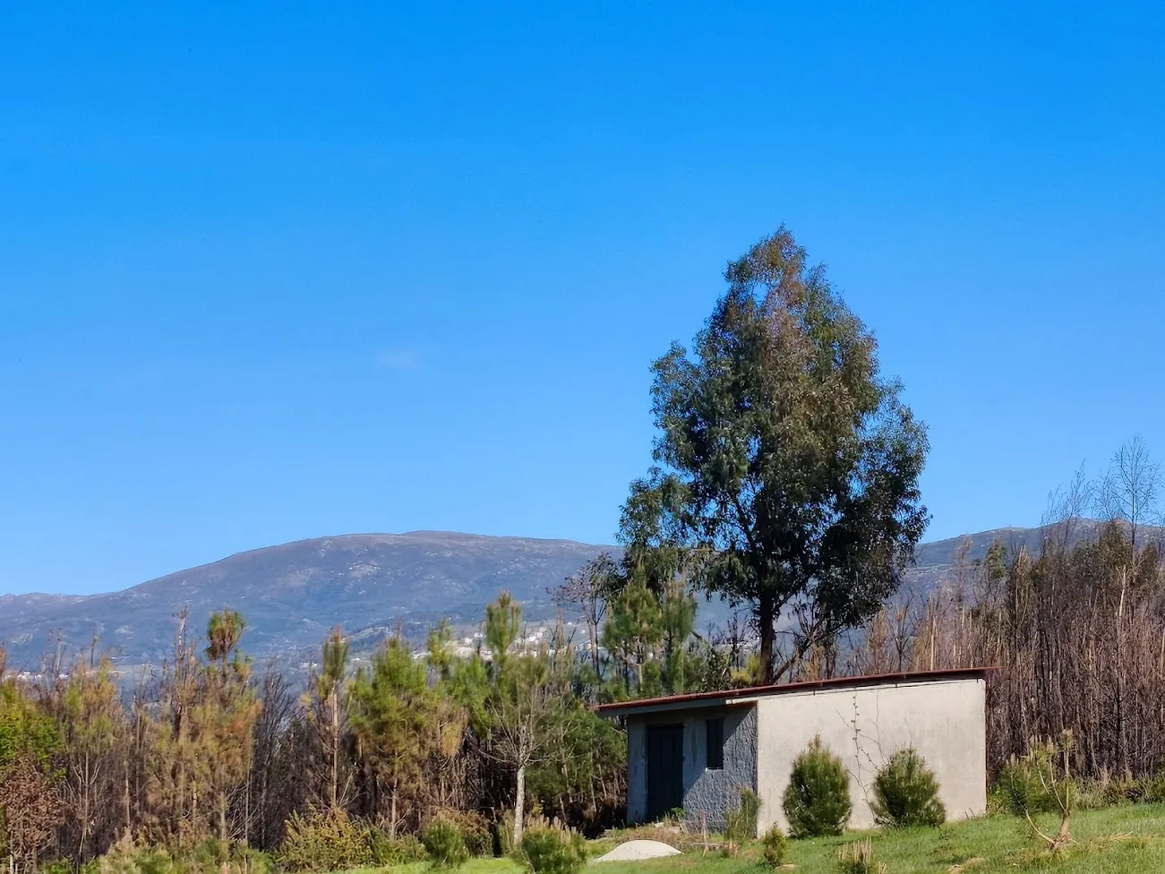 Bungalow Serra da Estrela - 47